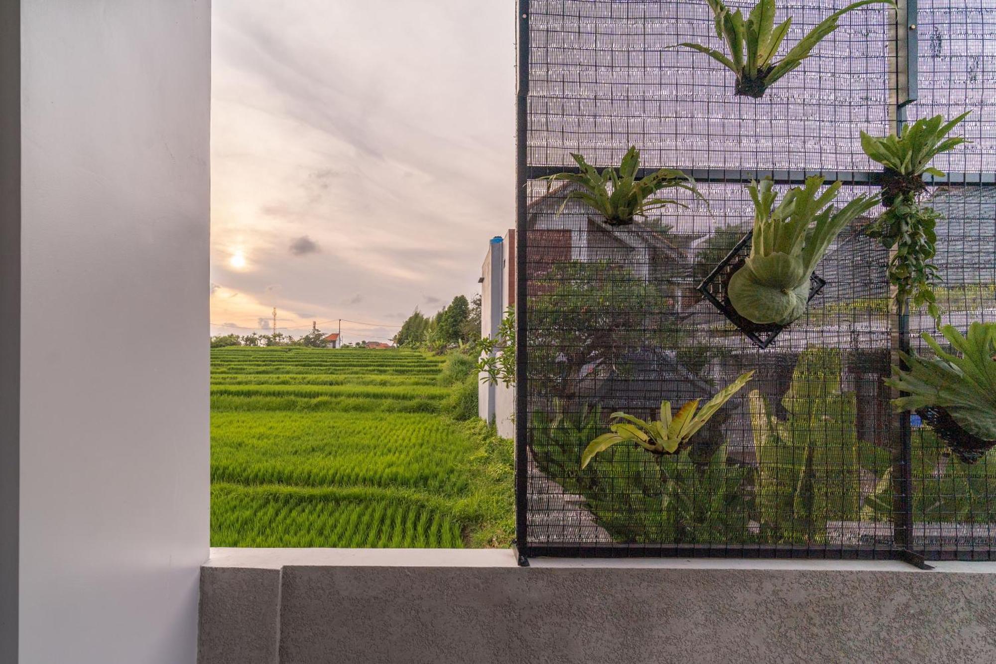 D'Macho Villas Ubud エクステリア 写真